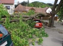Kwikfynd Tree Cutting Services
leura