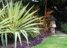 Kwikfynd Tropical Landscaping
leura